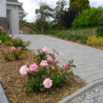 Création Jardins Plumley Yvoir