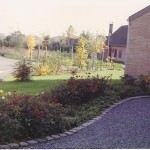 Un chemin d'accès intégré harmonieusement à un parterre de fleurs.