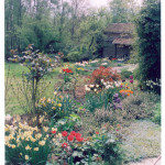 Composition d'un parterre de fleurs en bord de terrasse.