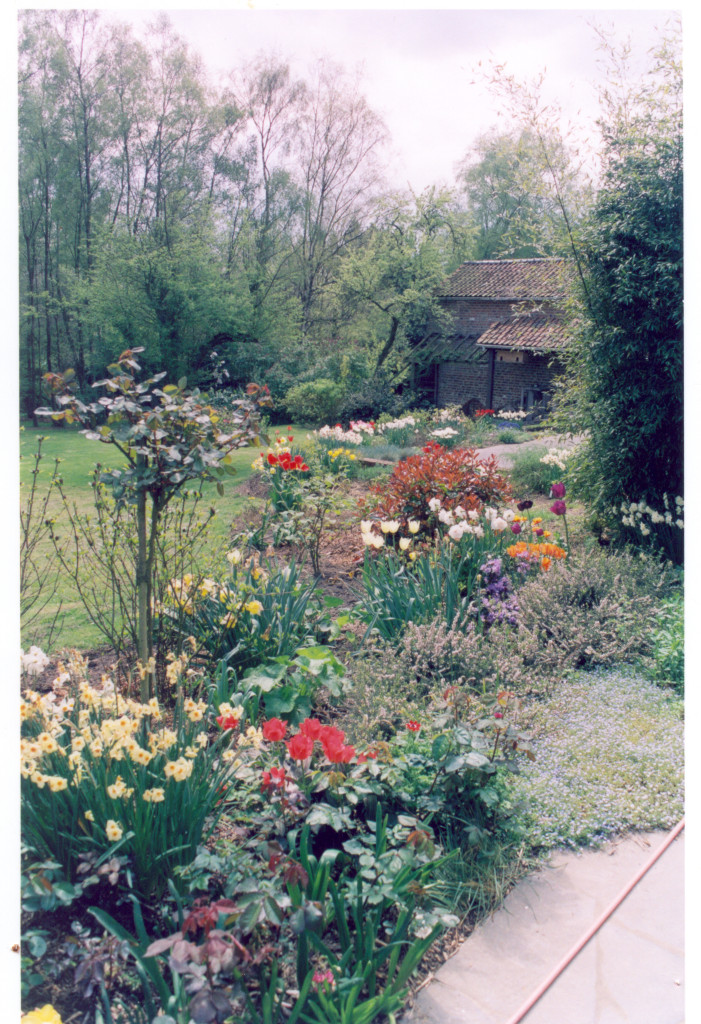 Composition d'un parterre de fleurs en bord de terrasse.